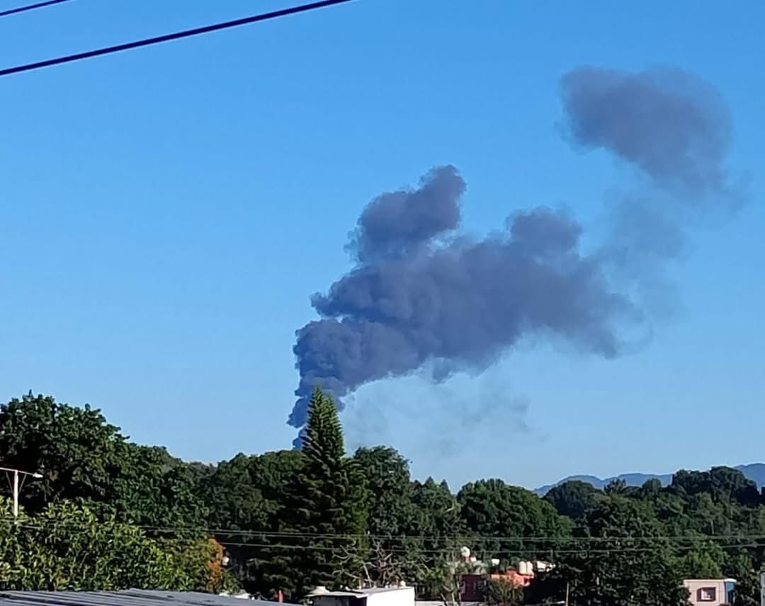 El incendio ocurrió en el kilómetro 139, en la localidad de El Fresno. | Especial