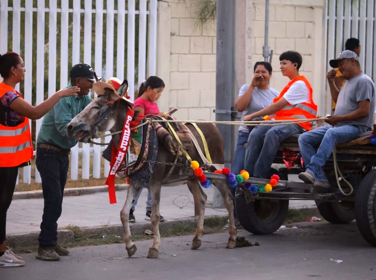 Jubilan a equinos usados por carromateros en Torreón. | Foto: Manuel Guadarrama