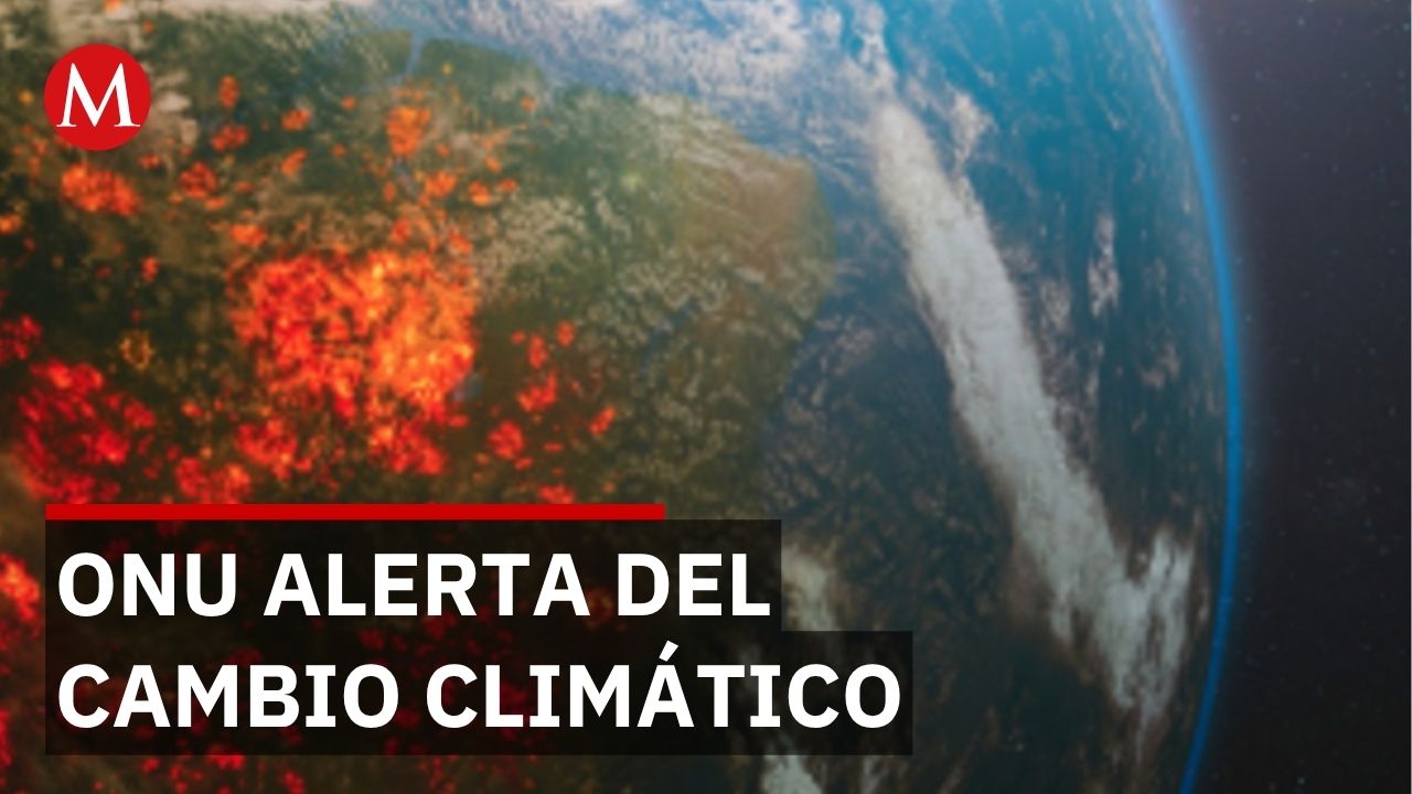 ONU advierte: calor extremo, sequías e inundaciones aumentarán en tu ciudad