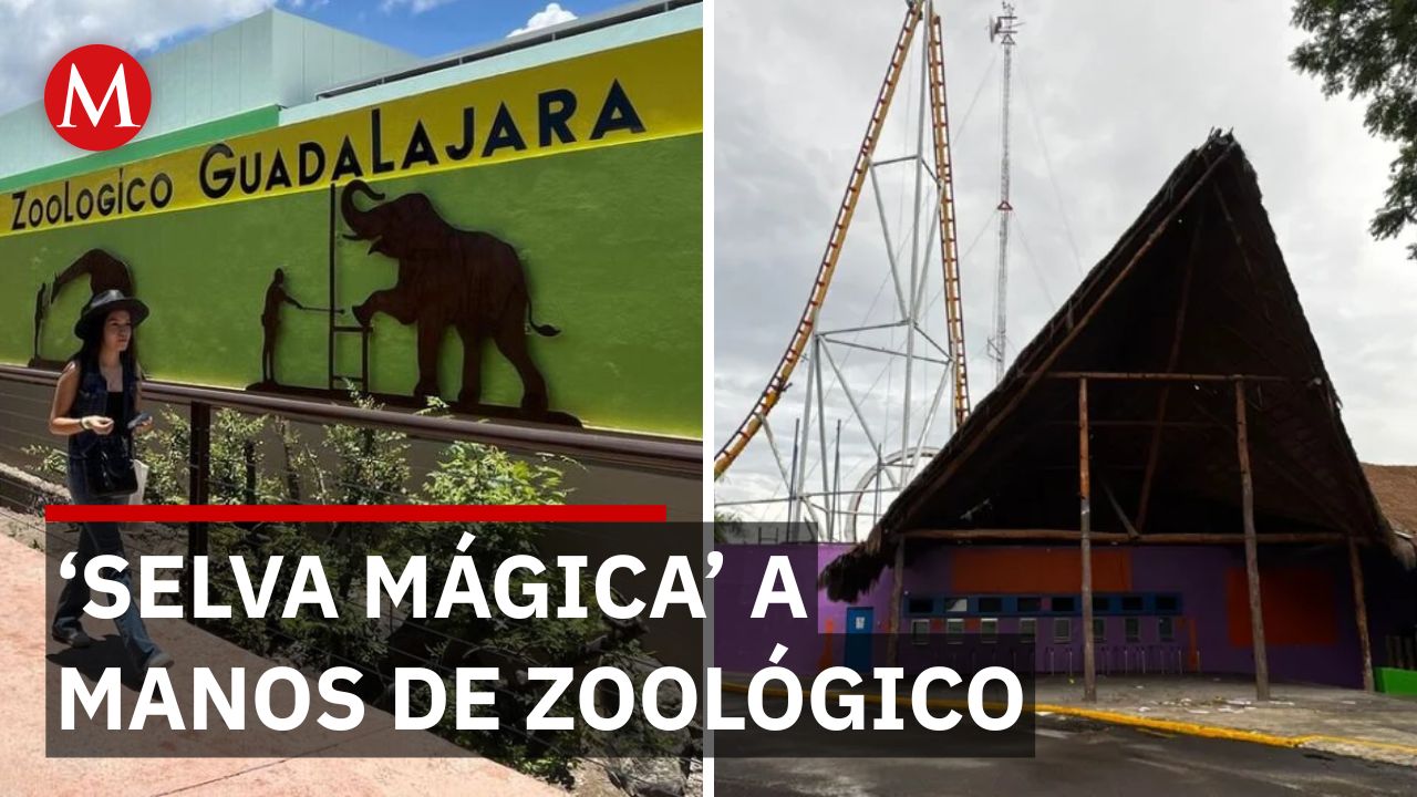 El zoológico de Guadalajara recibió el predio de 'Selva Mágica' y planea una expansión recreativa