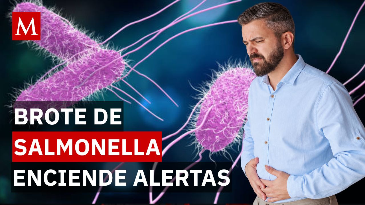 Alerta por salmonella en Ciudad de México: ¿cuáles son los síntomas y cómo tratarla?
