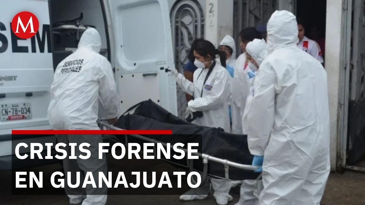 Desaparecidos permanecen años en morgue de Guanajuato sin ser identificados