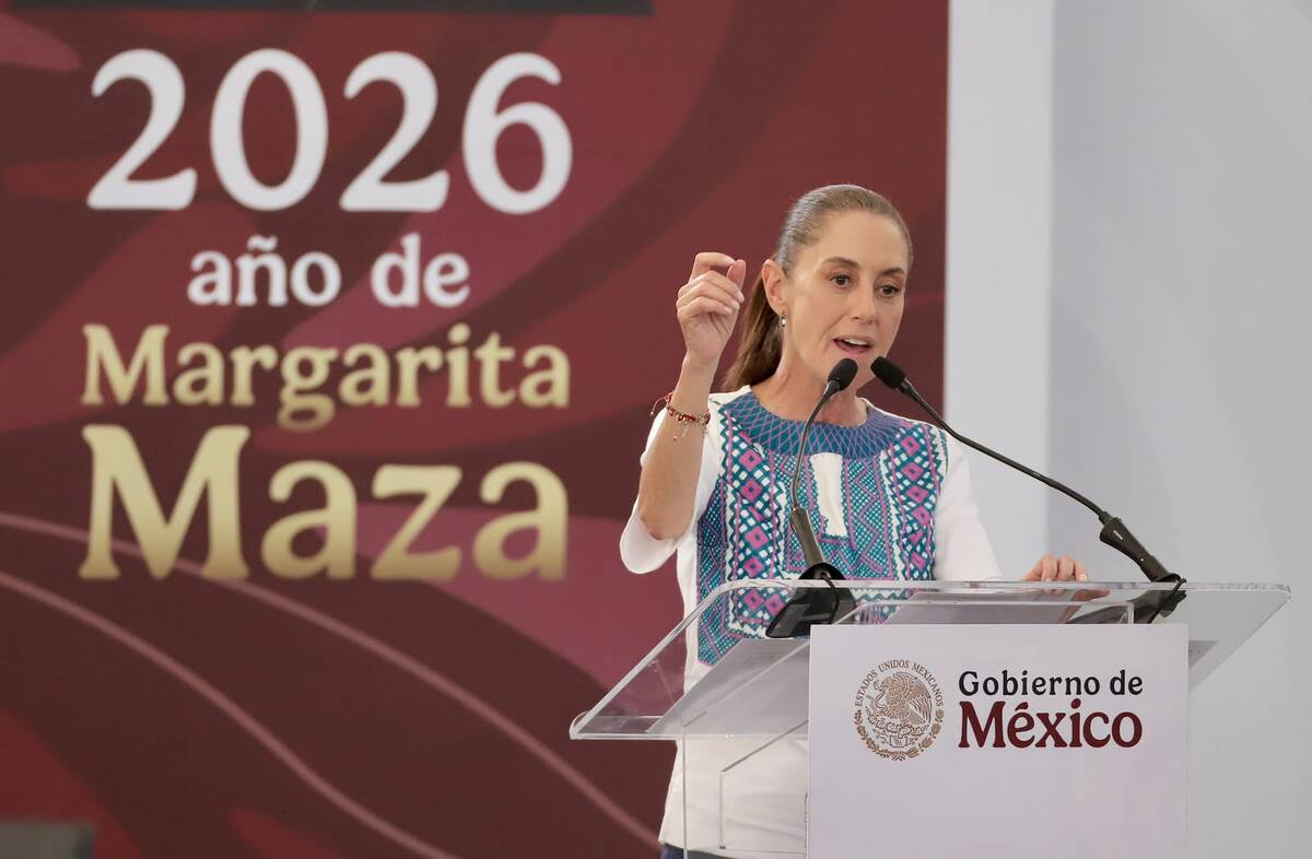 La Presidenta indicó que el caso ya se investiga y que se informará sobre los avances. | Foto: Ariel Ojeda