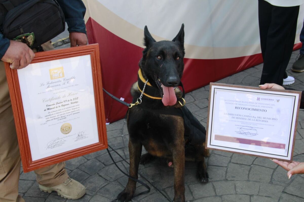 Unidad Canina K9. (Cortesía)