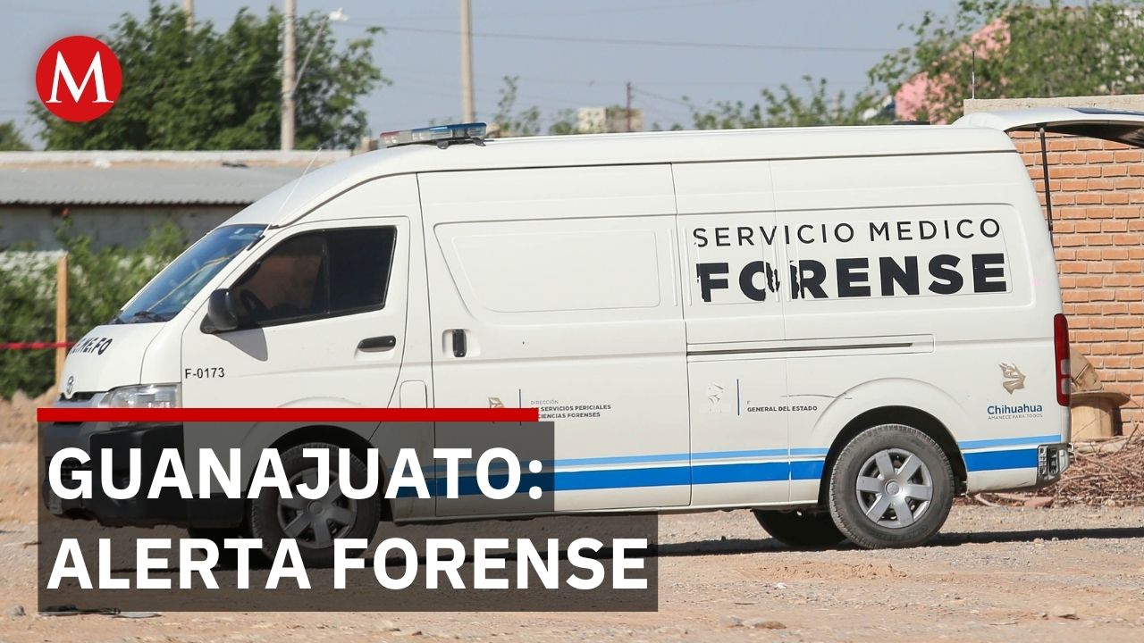 Guanajuato, segundo lugar nacional en cuerpos recibidos por servicios forenses en 2025