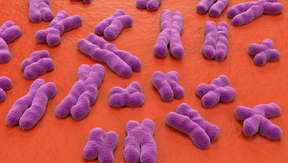 La genética puede influir en la salud, hábitos y elecciones de vida. | Foto: Shutterstock