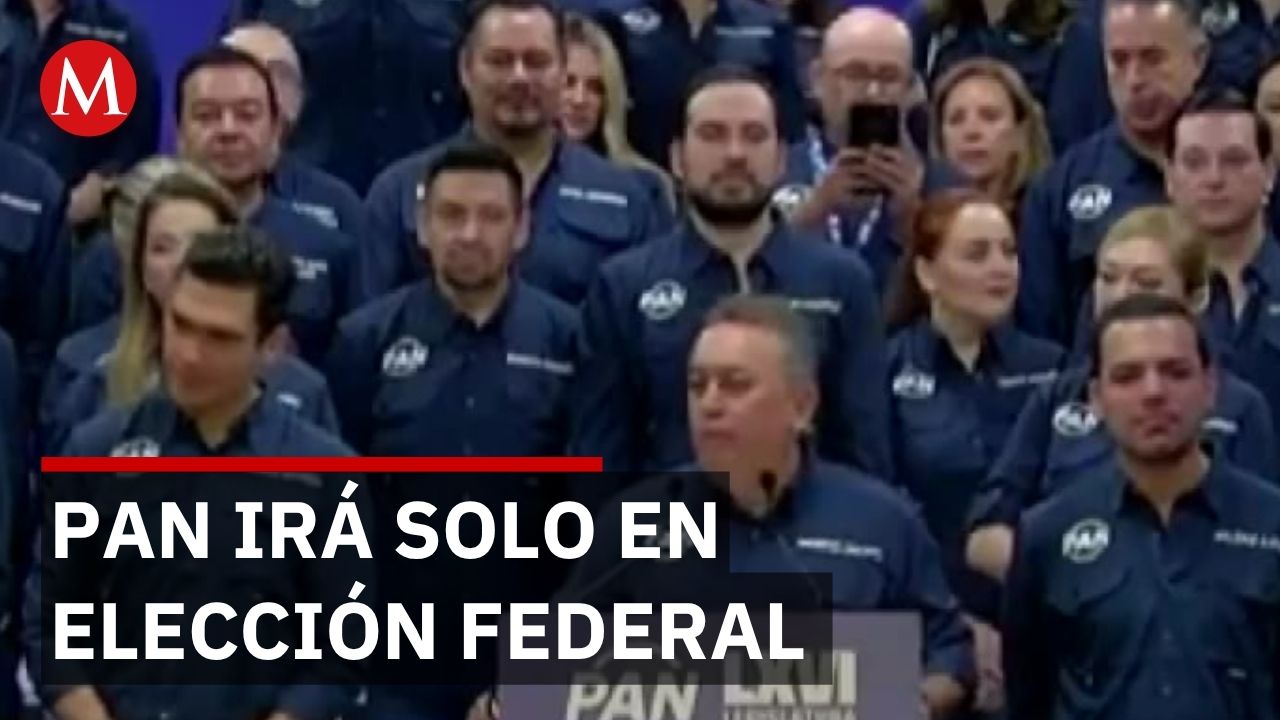 PAN irá solo en elecciones federales pero abre puerta a alianzas en estados