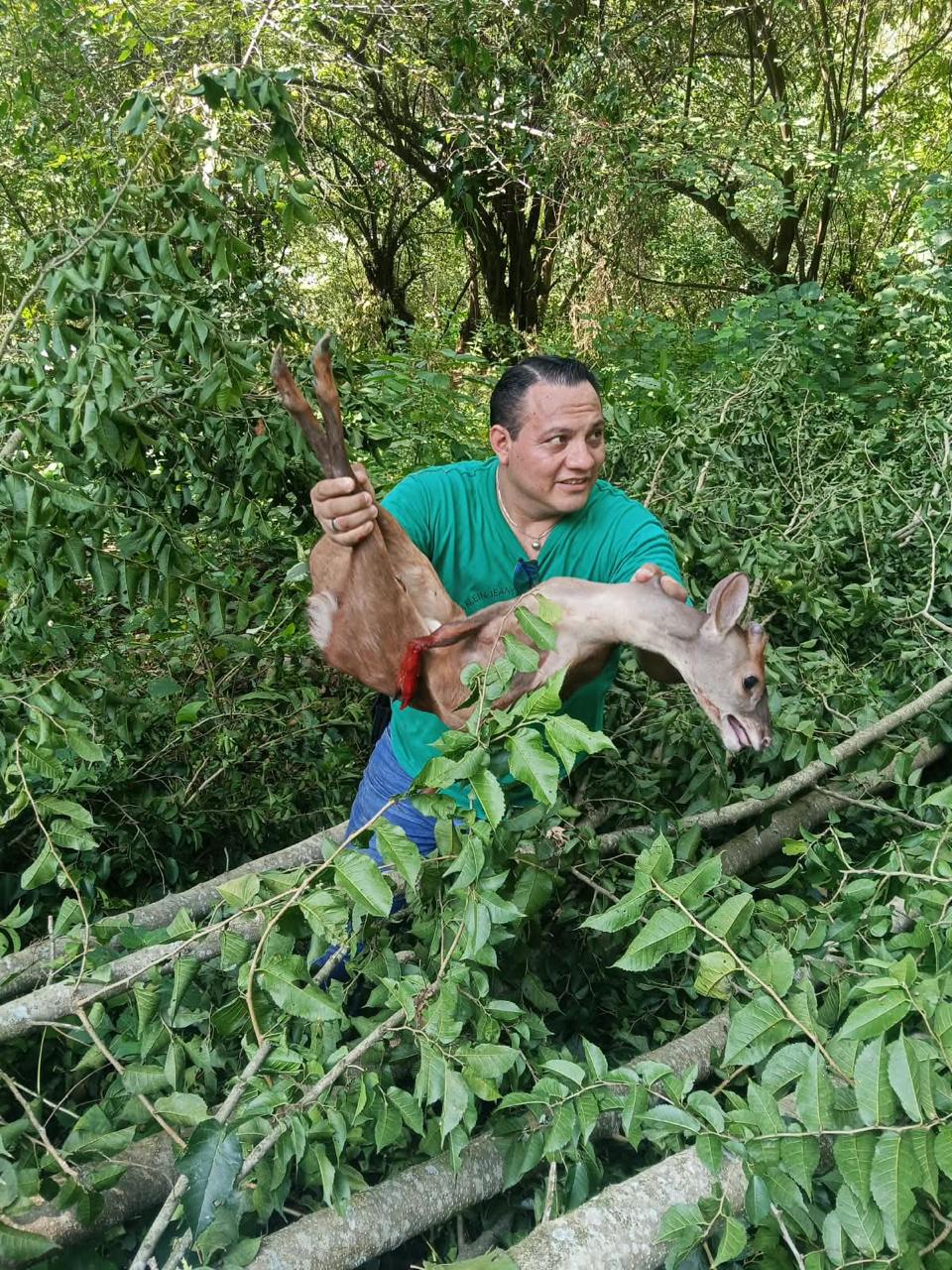 El profesor Elier Naranjo rescató a un cachorro de venado que era perseguido por cazadores furtivos en Atlapexco, Hidalgo. (Cortesía)