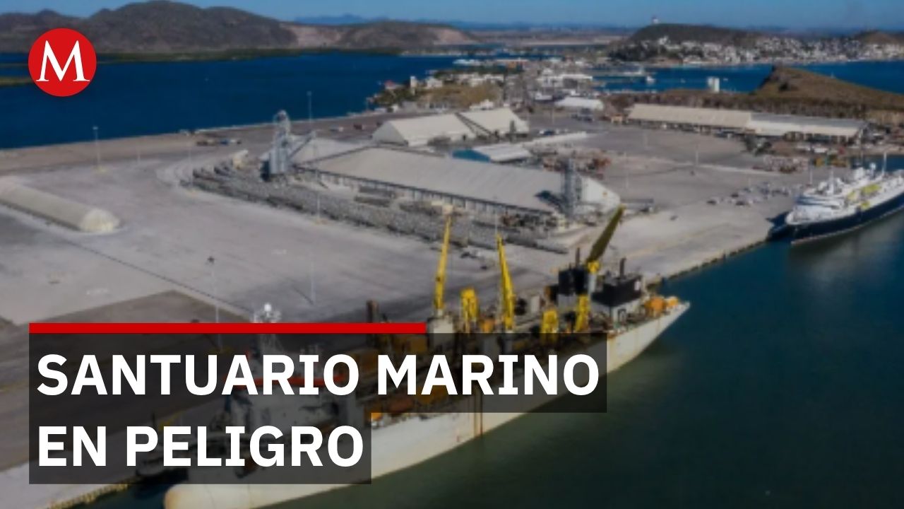 Comunidades indígenas se oponen a construcción de planta de amoniaco en Sinaloa