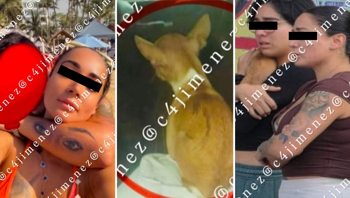 ‘El Chilaquil' muere baleado en la Peralvillo; su perrito es hallado esperando en su hombro y novia de La Unión lo rescata