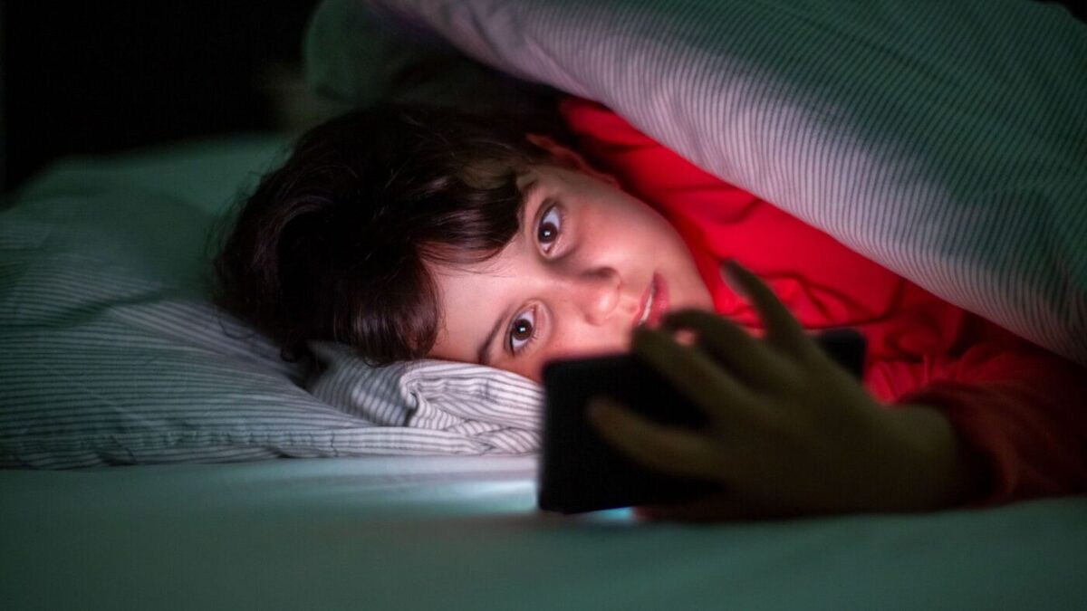 A medida que los menores crecen, el entorno digital adquiere nuevas dimensiones. | Especial