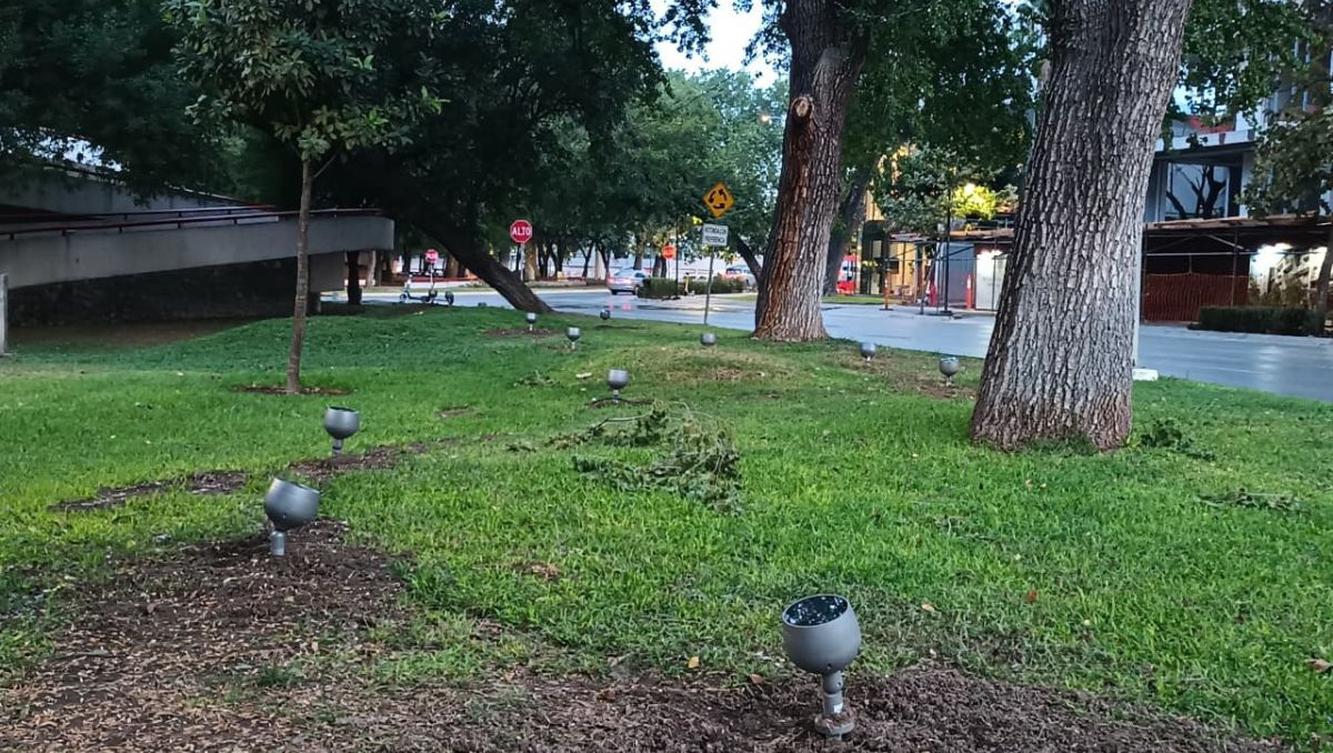 El proyecto de iluminación de las Calzadas incluye más de 3 mil luminarias | Lolita Lastra