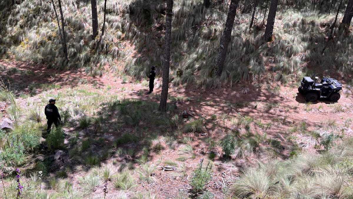 Localizan restos óseos en el Parque Nacional Iztaccíhuatl-Popocatépetl
