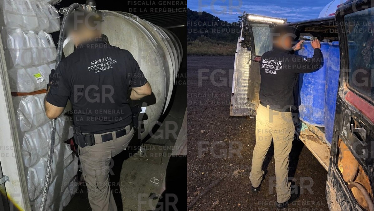 Todo lo asegurado quedó a disposición de las autoridades. | Especial