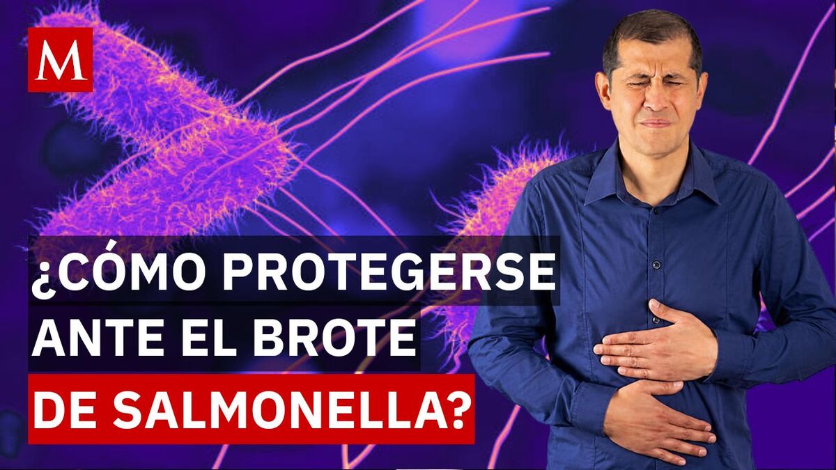 "¿Qué alimentos transmiten Salmonella? Tras brote en Hospital General, conoce cómo prevenirla  "