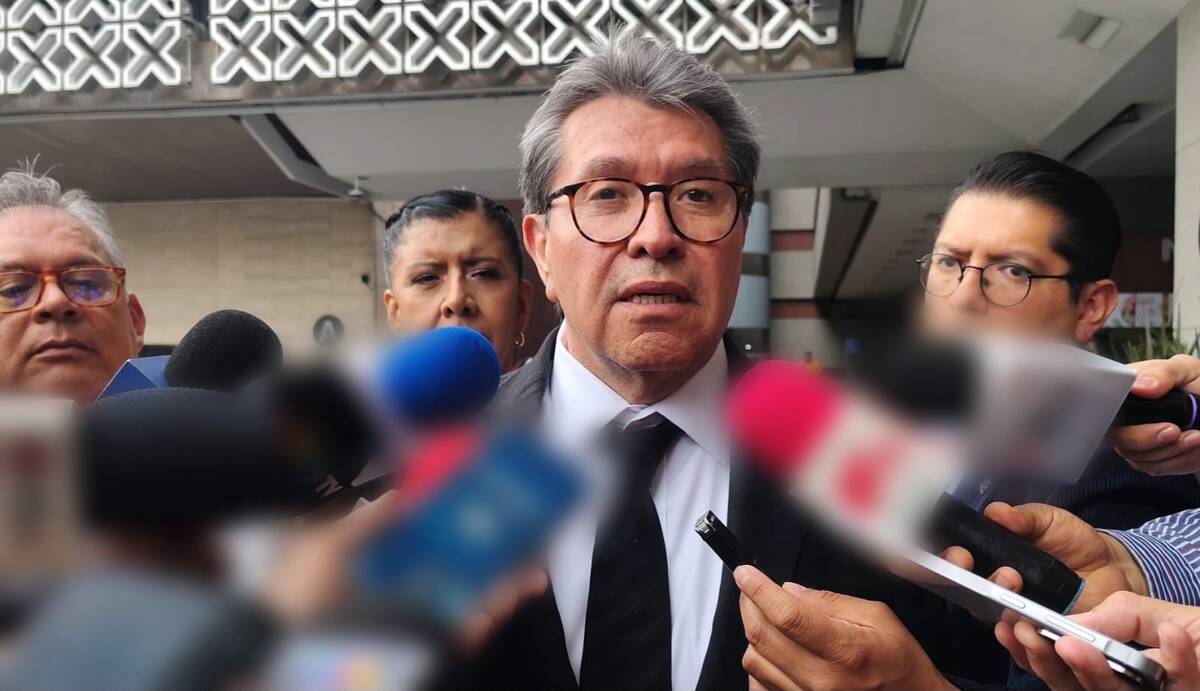 Monreal confirmó que el dictamen aprobado se discutirá este mismo mes | Fernando Damián