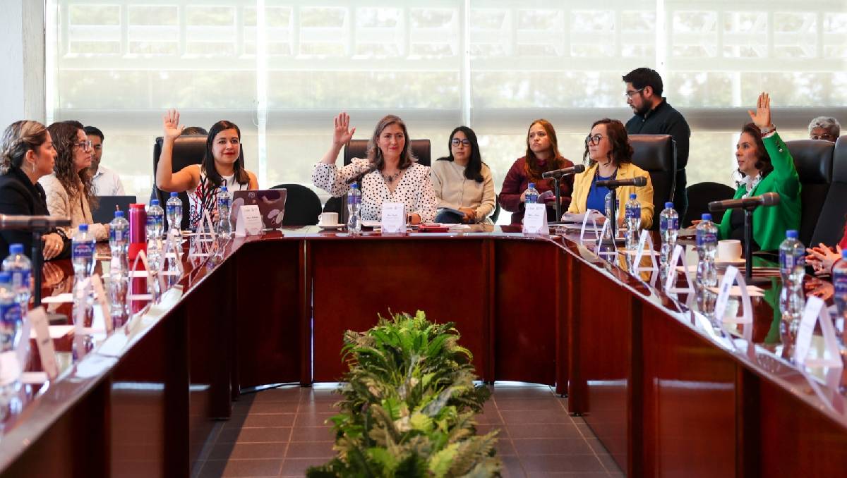 Paula Melgarejo reconoció que la preparación de las elecciones en el extranjero serán un reto. | Foto: Cortesía IEEM