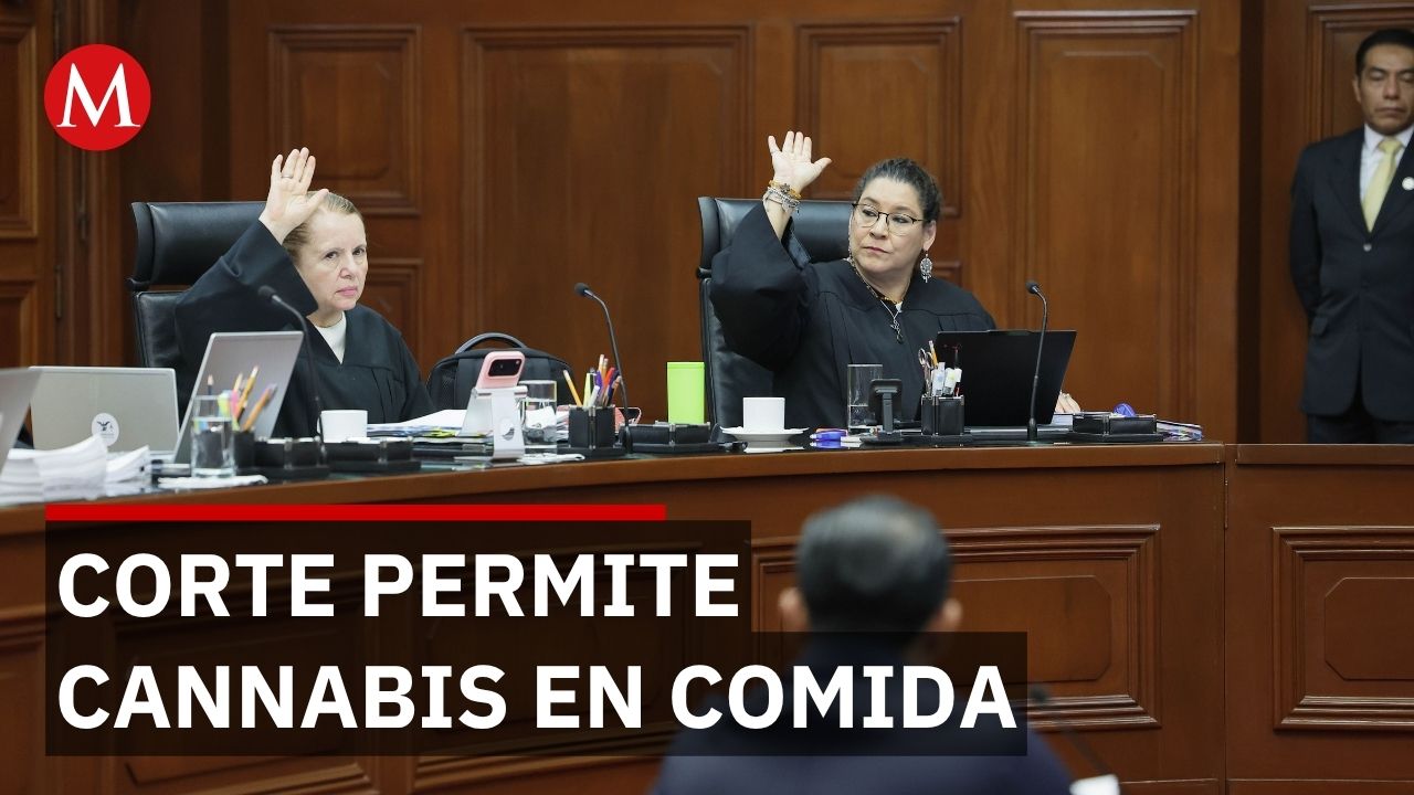 Corte avala cannabis en alimentos pero ministros alertan sobre protección de menores
