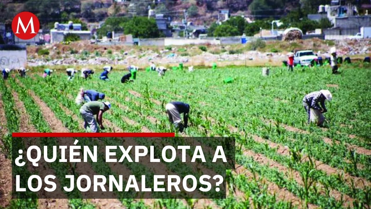 Jornaleros indígenas huyen de sequía en Guerrero pero enfrentan explotación en Sinaloa