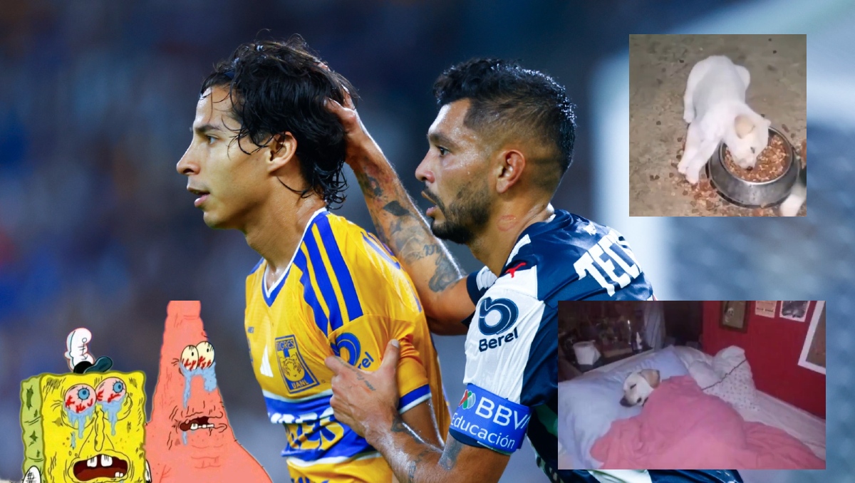 Memes se aburren con el Clásico Regio 143 entre Tigres y Rayados (Jorge López)