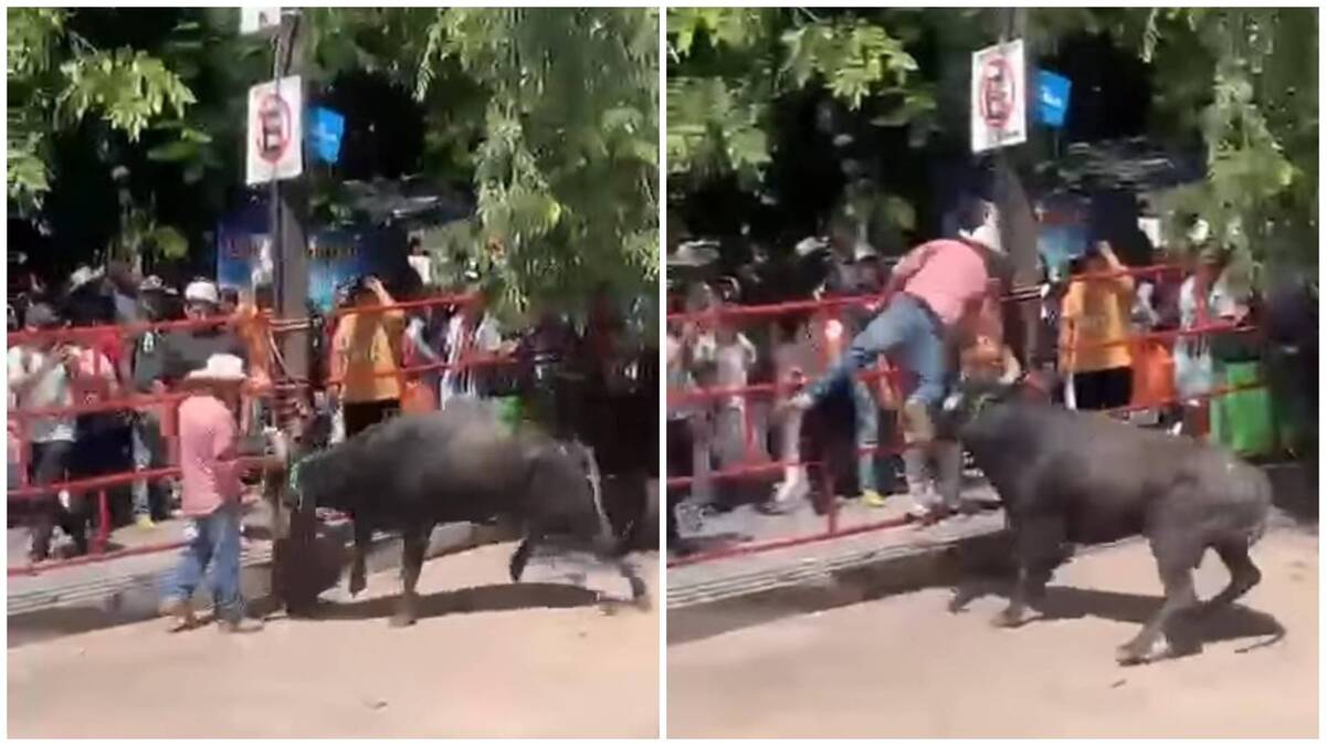 Un toro atacó a un adulto mayor durante el arranque de la celebración de las fiestas patrias en Tlapa de Comonfort. | Foto: Especial