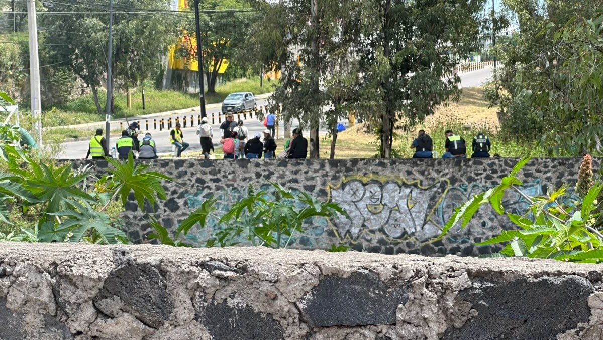 Estudiantes y personal de la DASU buscan también a Hugo Alejandro en el río Alseseca | Andrés Lobato