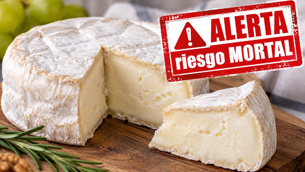 Alerta de queso por posibles riesgos a la salud | IA DISCOVER
