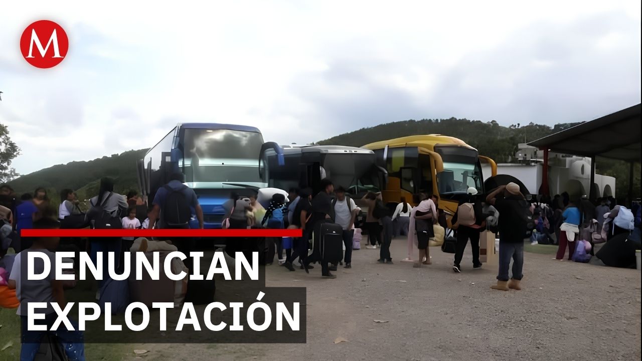 Guerrerenses sufren esclavitud laboral en campos agrícolas del norte bajo engaños