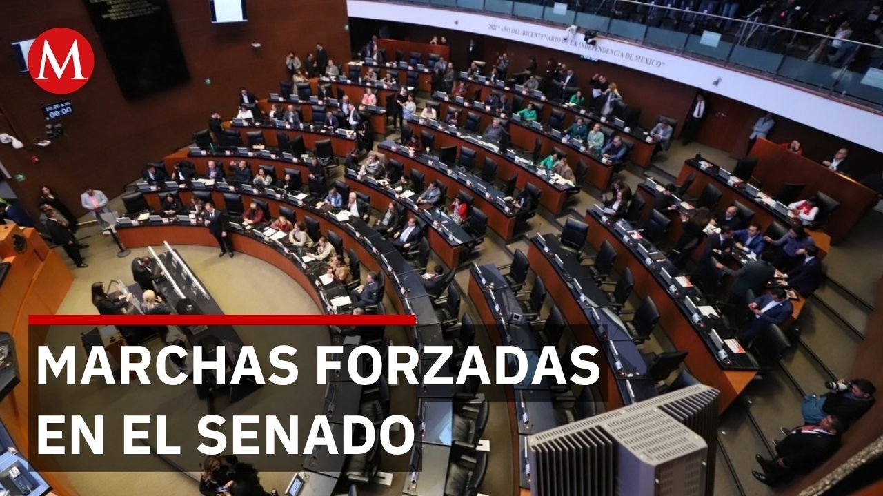 Senado acelera sesiones para vacaciones y aprueba reformas militares de emergencia