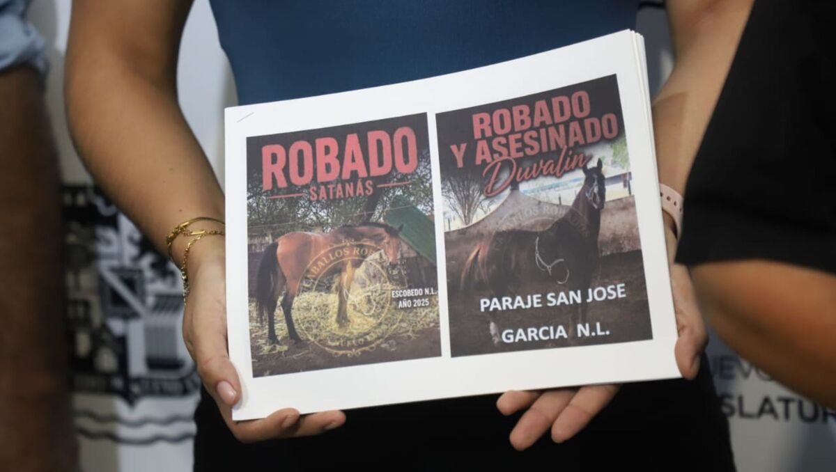 En los últimos dos años se han contabilizado más de 50 casos de robo y matanza de caballos en Nuevo León. | Luis Guerra