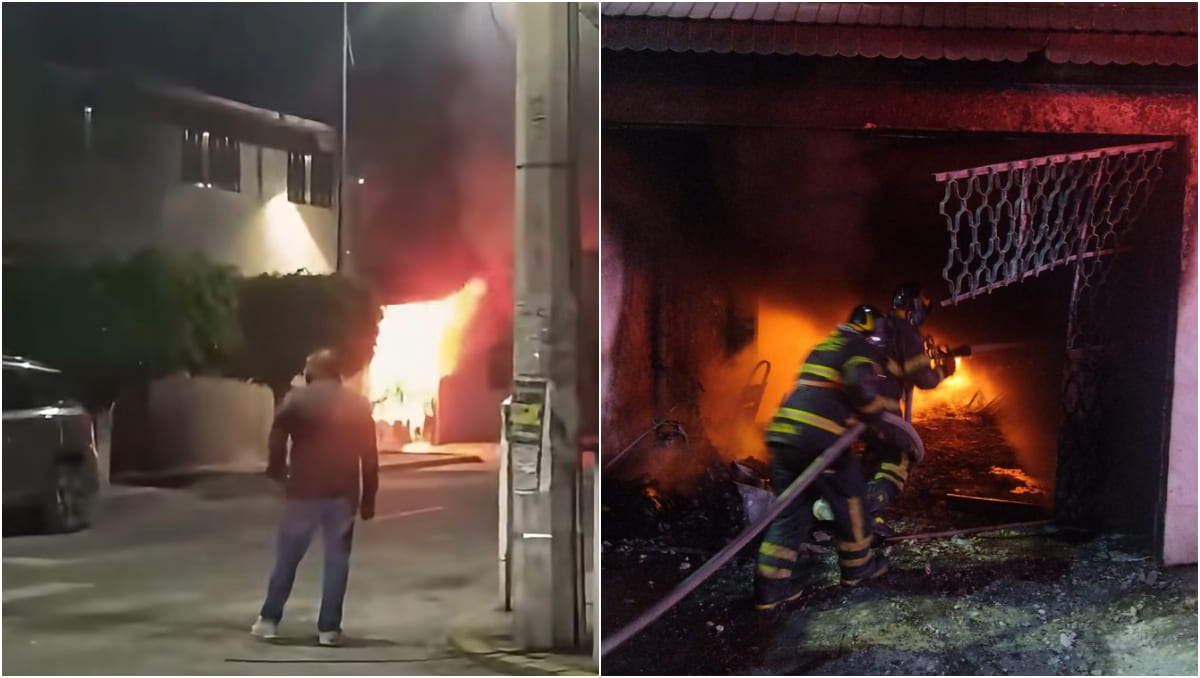 Bomberos de la Ciudad de México confirmaron el rescate de un perro con vida. | Especial