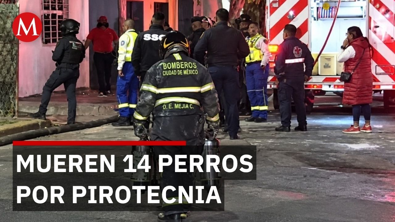 Cohetes terminan en tragedia: 14 perros mueren en explosión de tanque de gas en la GAM