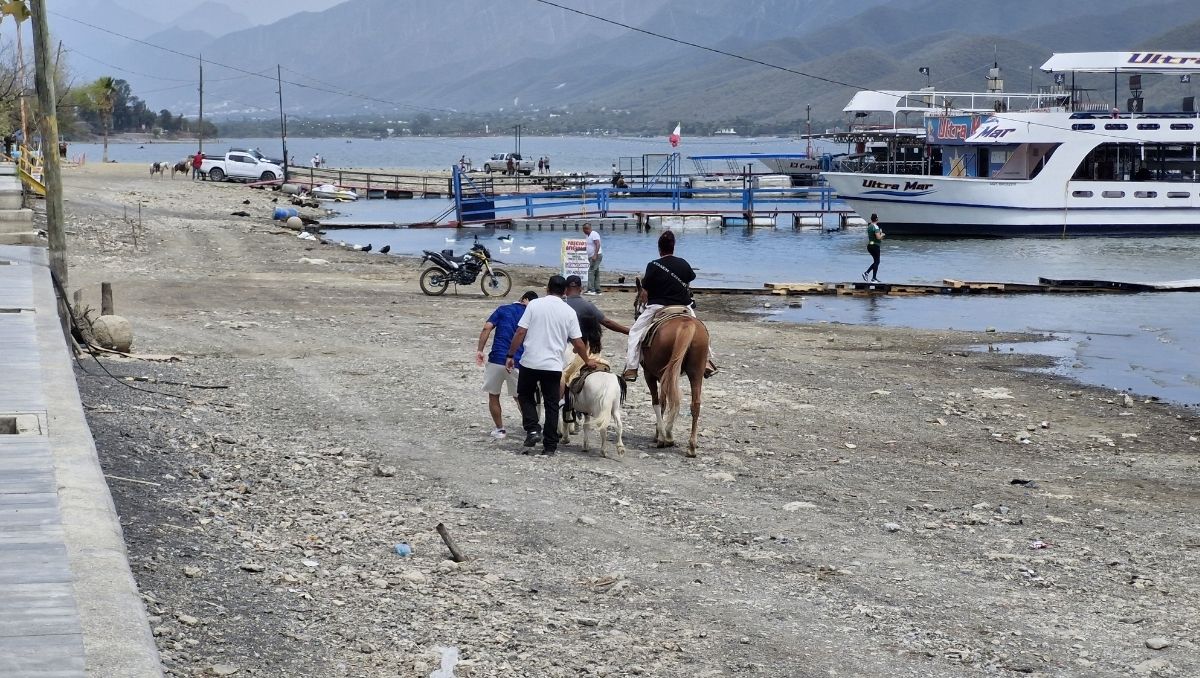 La gente disfrutó de los paseos en poni y caballo. Foto: Orlando Maldonado