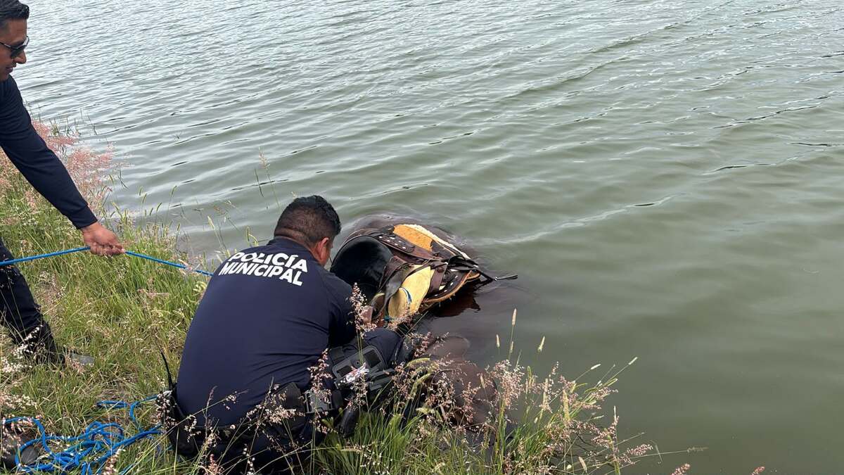 Jinete y caballo terminaron dentro de un bordo. (Cortesía)