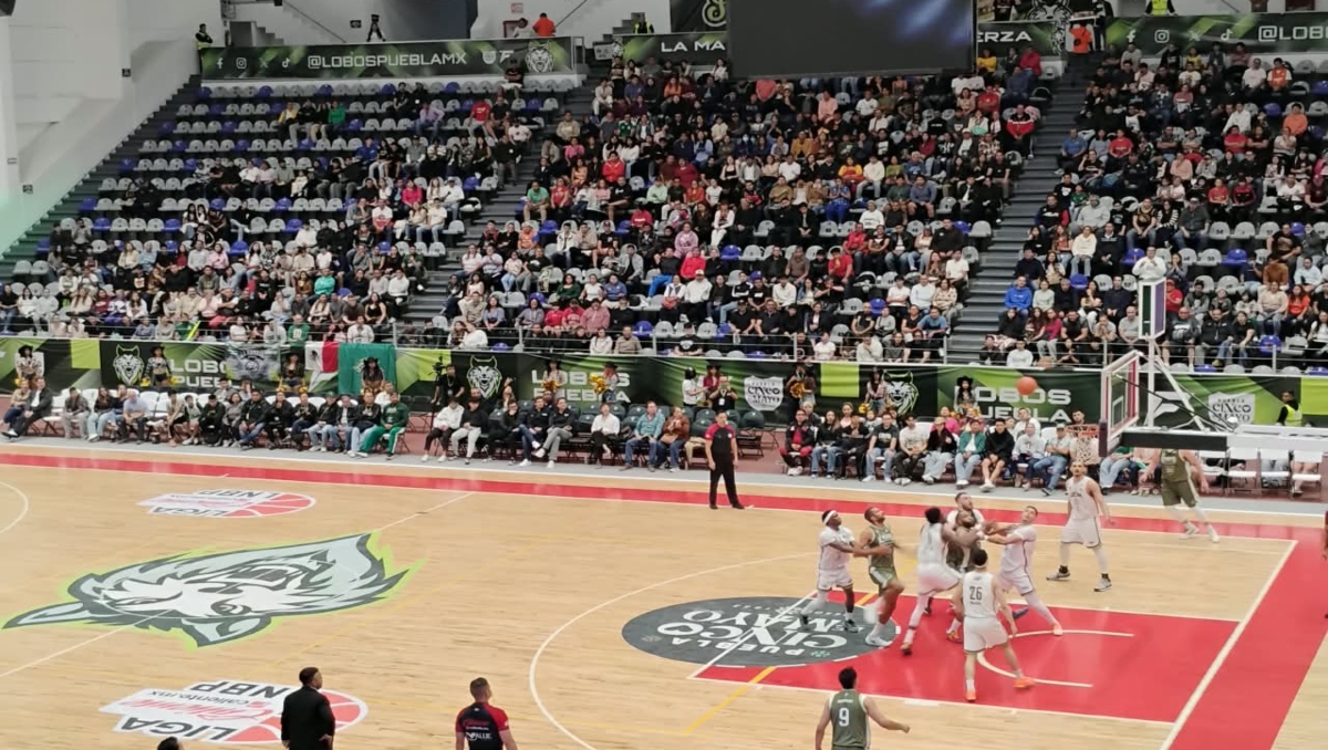 Lobos Puebla se queda con la serie completa sobre Abejas de León | Jaime Zambrano