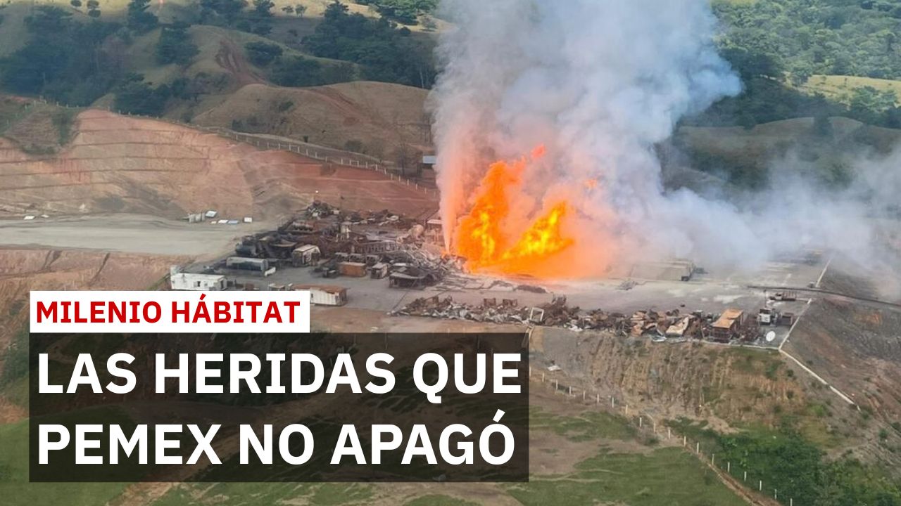 A 6 meses del incendio en Veracruz: Pemex apagó el fuego pero persisten daños | Milenio Hábitat