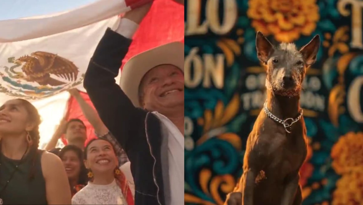 Segob publicó video sobre la identidad mexicana. | X: Segob