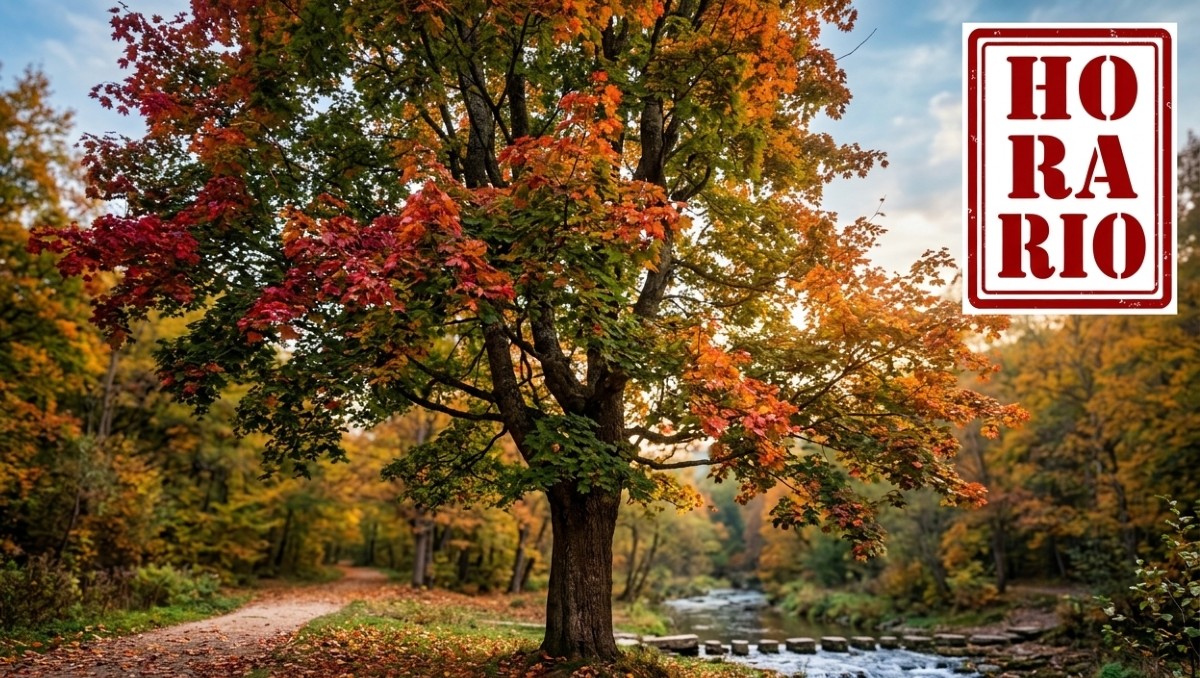 ¿Cuándo entra realmente el otoño? | IA
