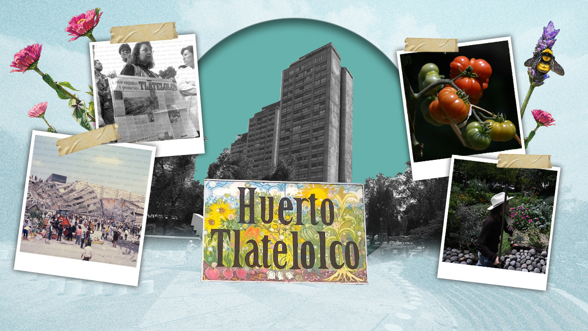 Huerto Tlatelolco: El oasis de agricultura urbana que florece| Portada