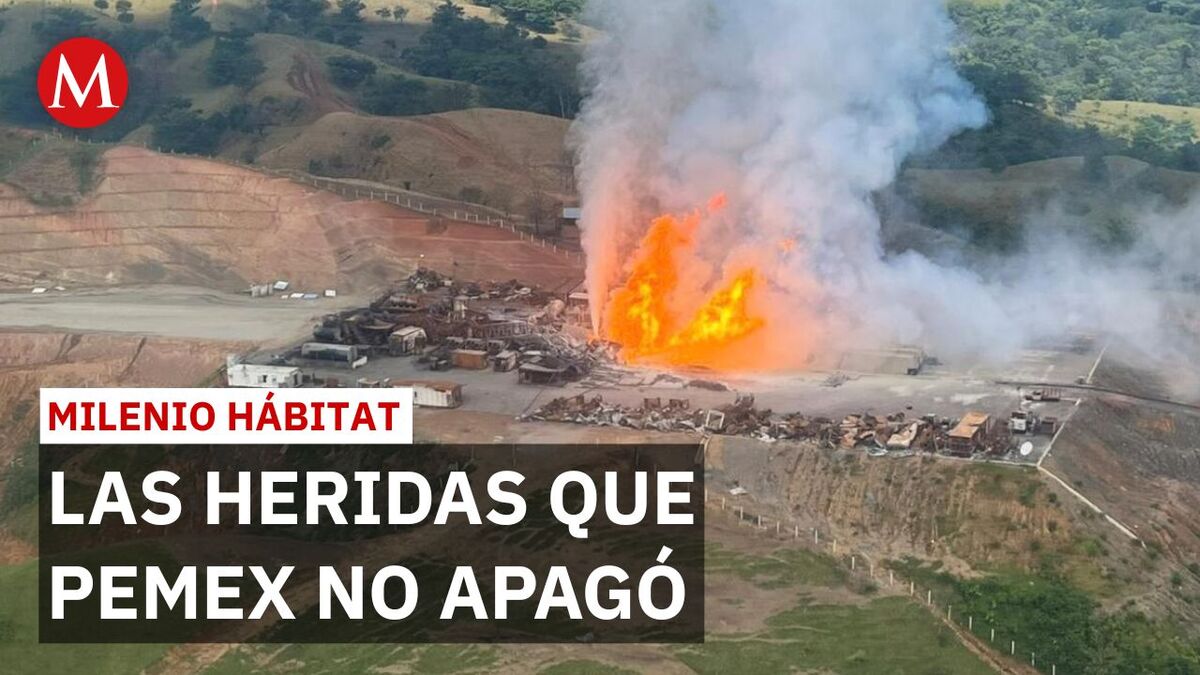 A 6 meses del incendio en Veracruz: Pemex apagó el fuego pero persisten daños | Milenio Hábitat