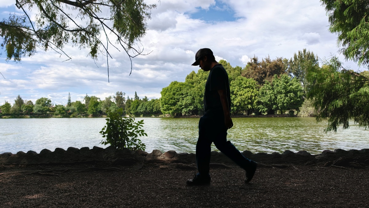 Cocodrilo de laguna de San Baltazar será reubicado: Puebla Verde | EsImagen
