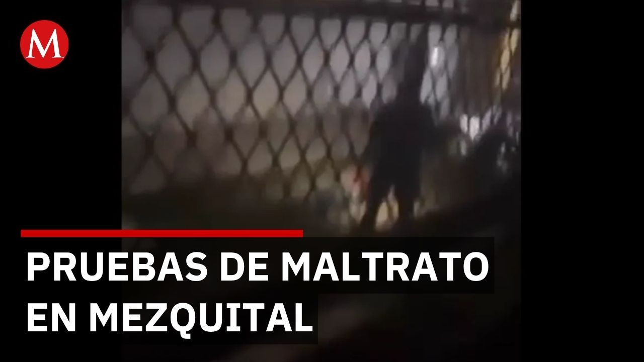 Videos evidencian maltratos en albergue de Mezquital, Durango mientras autoridades niegan denuncias