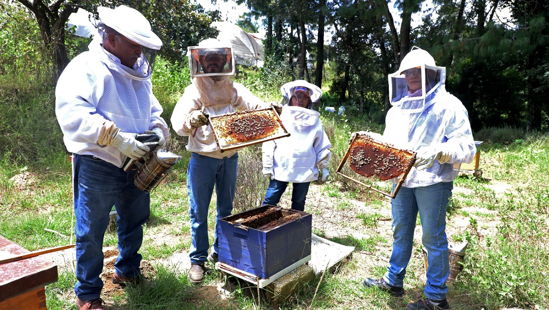 Apicultura fomenta el turismo comunitario en Huejotzingo, Puebla | Melanie Torres