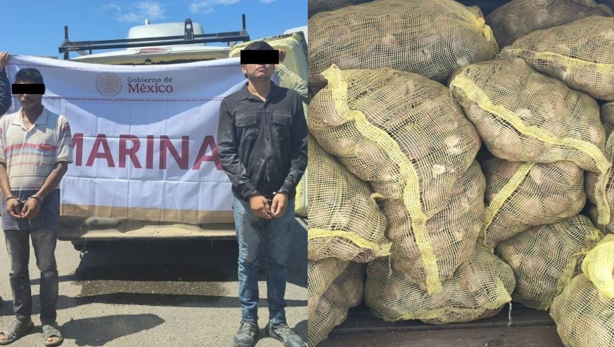 Detienen a dos personas por transportar tres toneladas de producto pesquero en plena veda en La Paz