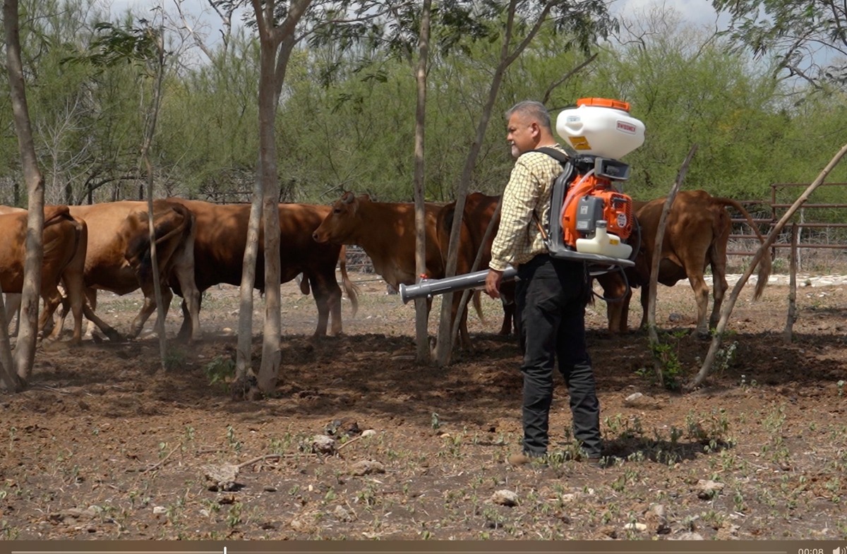 Los trabajos contra el gusano barrenador del ganado incluyen aspersión y nebulización en predios de Tamaulipas donde se han detectado afectaciones.