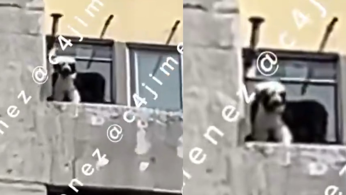 El suceso se dió en unos edificios en Tlatelolco. | Redes sociales