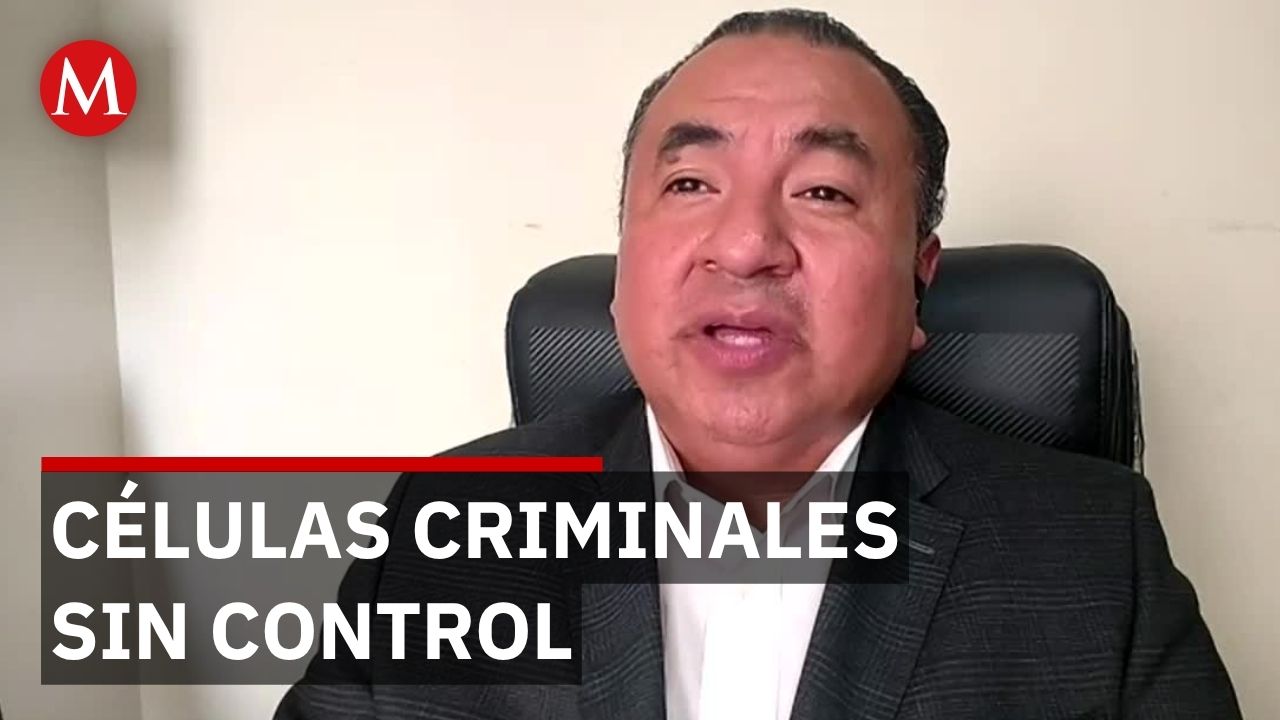 Mafias internacionales operan sin control en CdMx mientras México combate narcotráfico