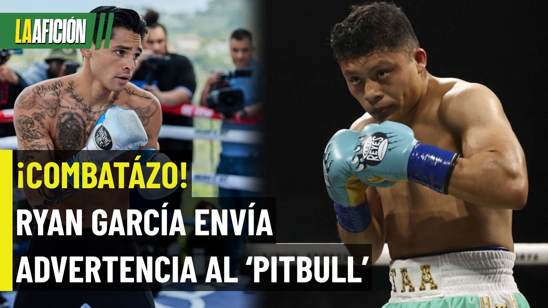 ¿Pelea en diciembre? La dura advertencia de Ryan al Pitbull