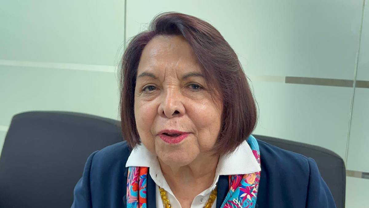 Durante el periodo se realizaron 49 sesiones y se analizaron 491 asuntos. | Foto: Especial