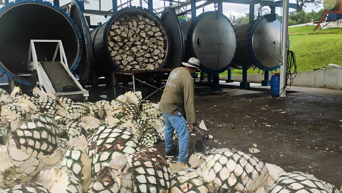 Destileria de tequila en La Estacada, municipio de Mazamitla, Jalisco (Salvador Romero)